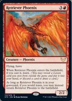 Retriever Phoenix