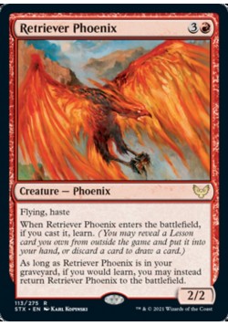 Retriever Phoenix