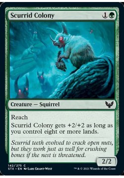 Scurrid Colony