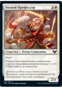 Боевой Профессор