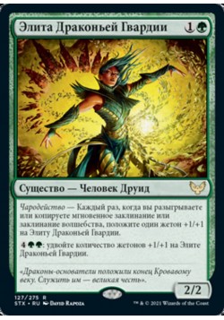 Элита Драконьей Гвардии