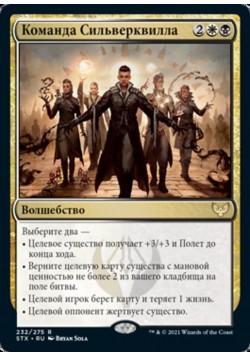 Команда Сильверквилла