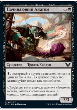 Начинающий Анатом