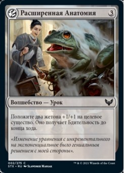 Расширенная Анатомия