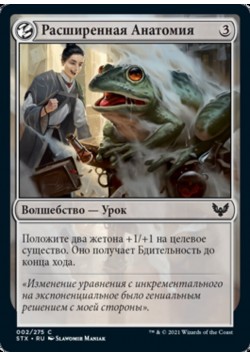 Расширенная Анатомия