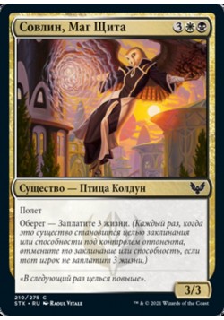 Совлин, Маг Щита