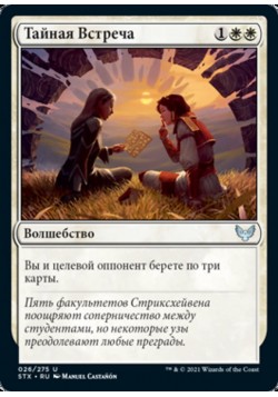 Тайная Встреча