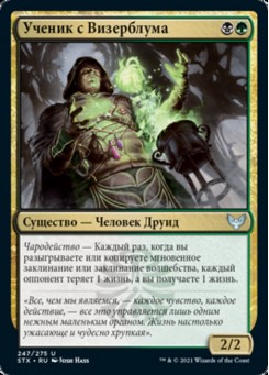 Ученик с Визерблума