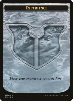 Experience