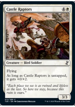 Castle Raptors