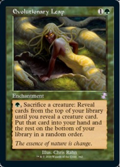 Evolutionary Leap