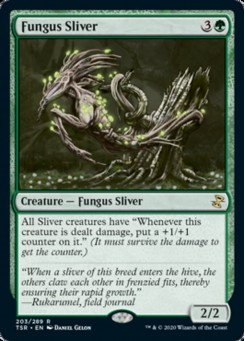 Fungus Sliver