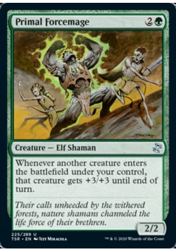 Primal Forcemage