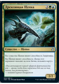 Дремлющая Щепка