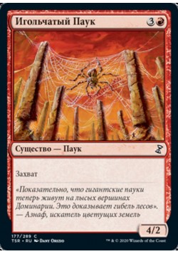 Игольчатый Паук