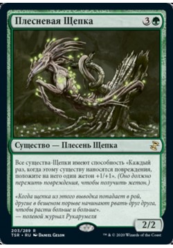 Плесневая Щепка