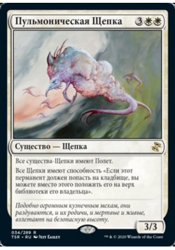 Пульмоническая Щепка