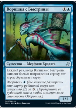 Воришка с Быстрины