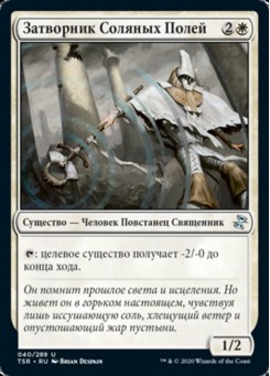 Затворник Соляных Полей
