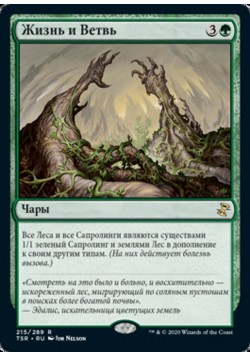 Жизнь и Ветвь