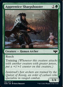 Apprentice Sharpshooter