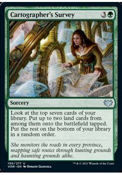 Cartographer's Survey