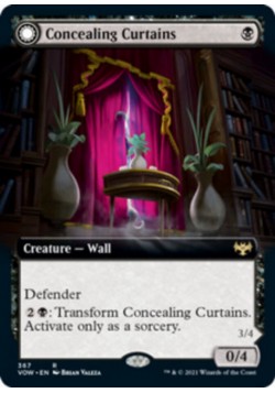 Concealing Curtains // Revealing Eye