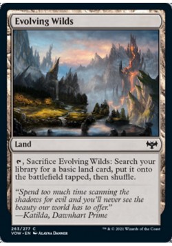 Evolving Wilds