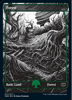 Forest