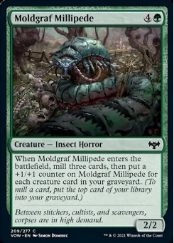 Moldgraf Millipede