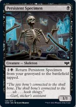 Persistent Specimen