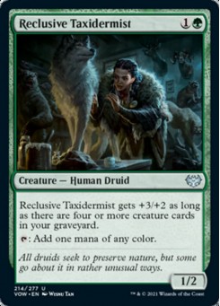 Reclusive Taxidermist