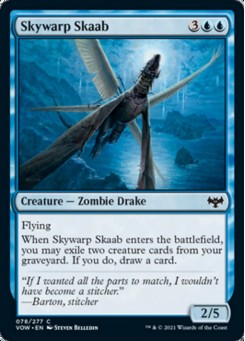 Skywarp Skaab