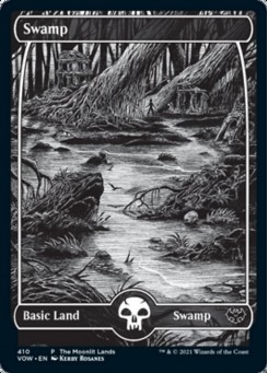 Swamp