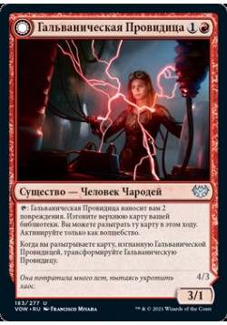 Гальваническая Провидица