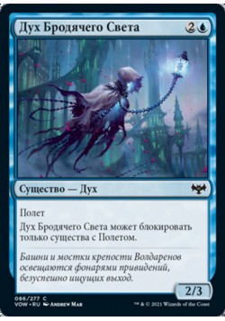 Дух Бродячего Света