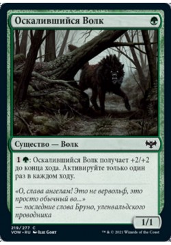 Оскалившийся Волк