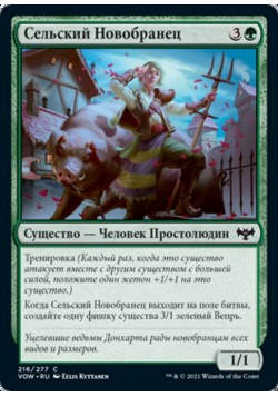 Сельский Новобранец