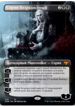 Сорин Безрадостный