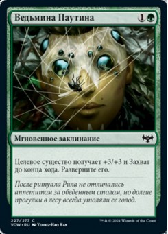 Ведьмина Паутина