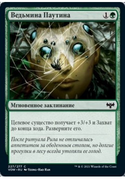 Ведьмина Паутина