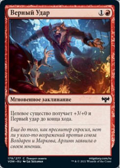 Верный Удар