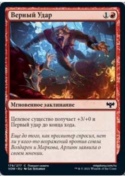 Верный Удар