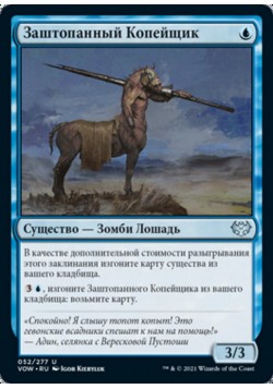 Заштопанный Копейщик