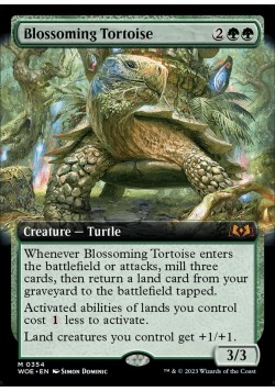 Blossoming Tortoise
