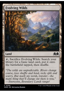 Evolving Wilds
