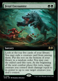 Feral Encounter