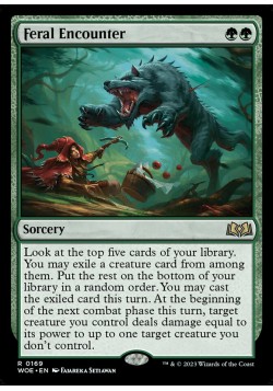 Feral Encounter