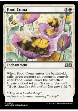 Food Coma