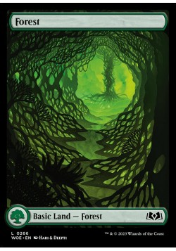 Forest